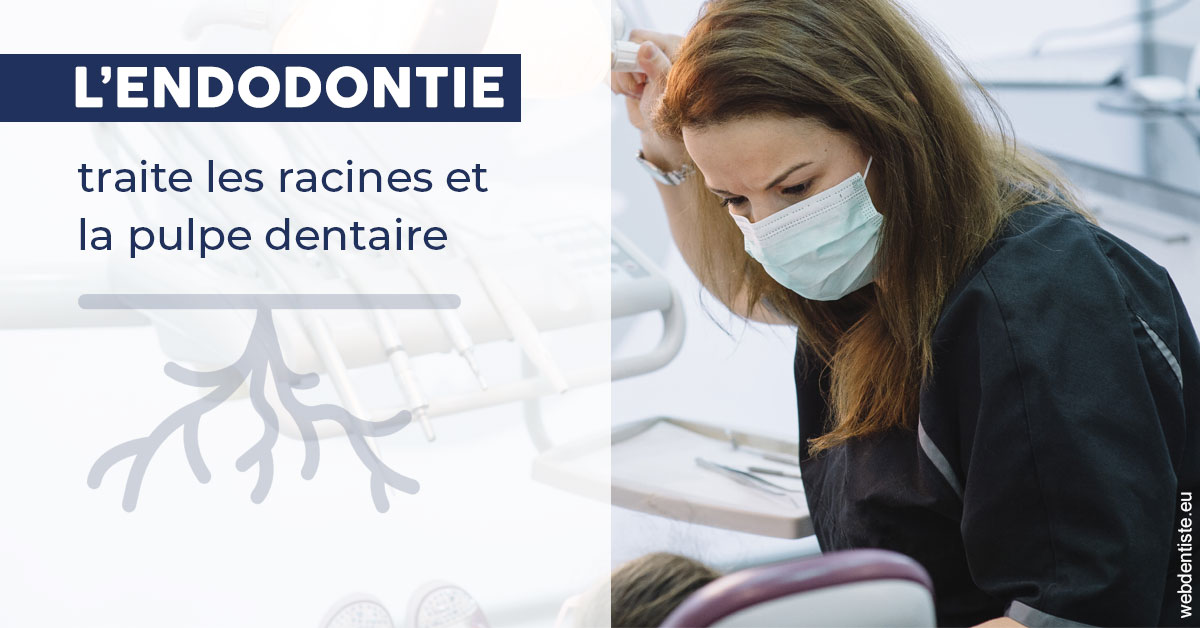 https://selarl-cabinet-dentaire-la-passerelle.chirurgiens-dentistes.fr/L'endodontie 1