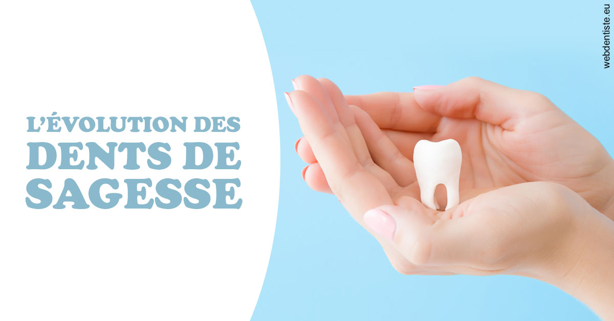 https://selarl-cabinet-dentaire-la-passerelle.chirurgiens-dentistes.fr/Evolution dents de sagesse 1