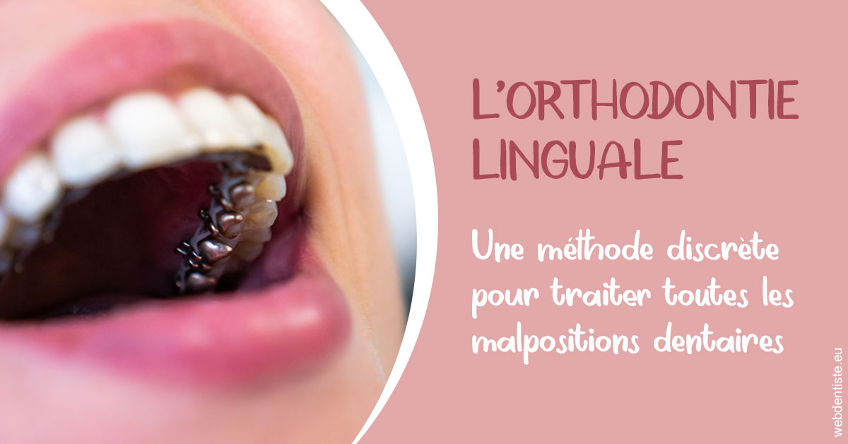 https://selarl-cabinet-dentaire-la-passerelle.chirurgiens-dentistes.fr/L'orthodontie linguale 2