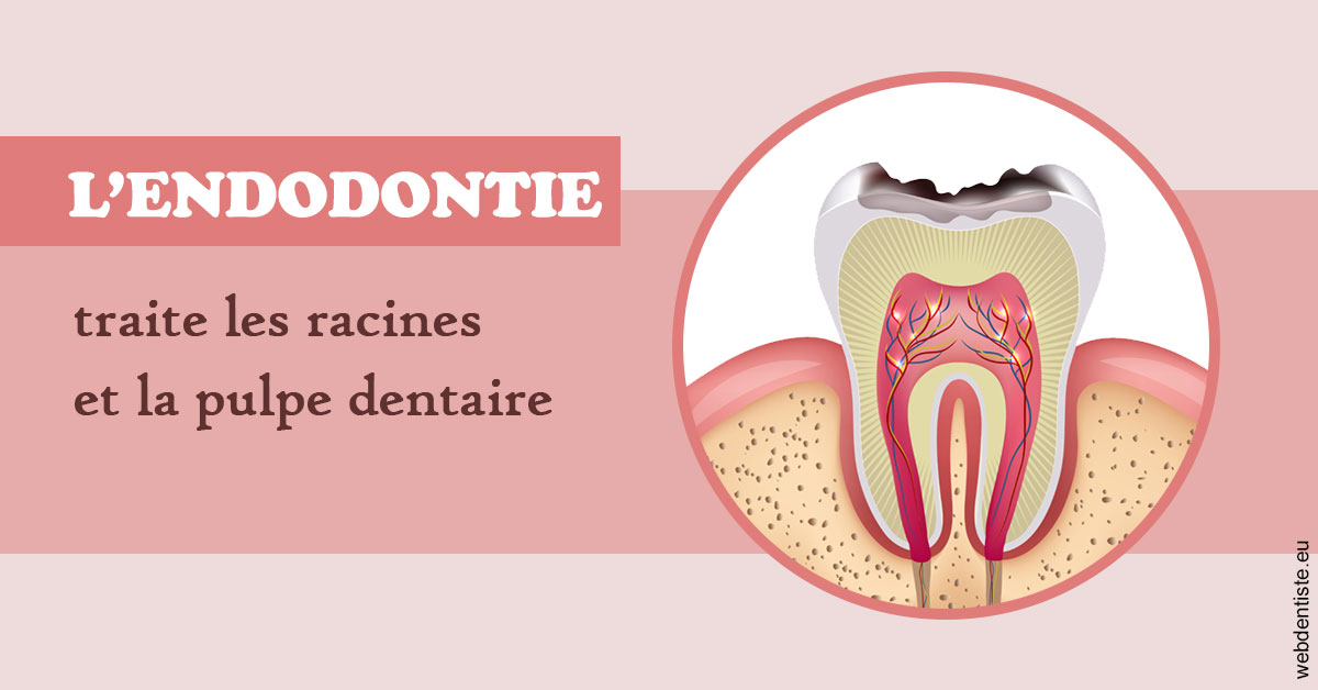 https://selarl-cabinet-dentaire-la-passerelle.chirurgiens-dentistes.fr/L'endodontie 2