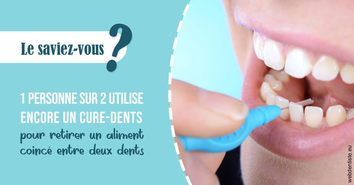 https://selarl-cabinet-dentaire-la-passerelle.chirurgiens-dentistes.fr/Cure-dents 1