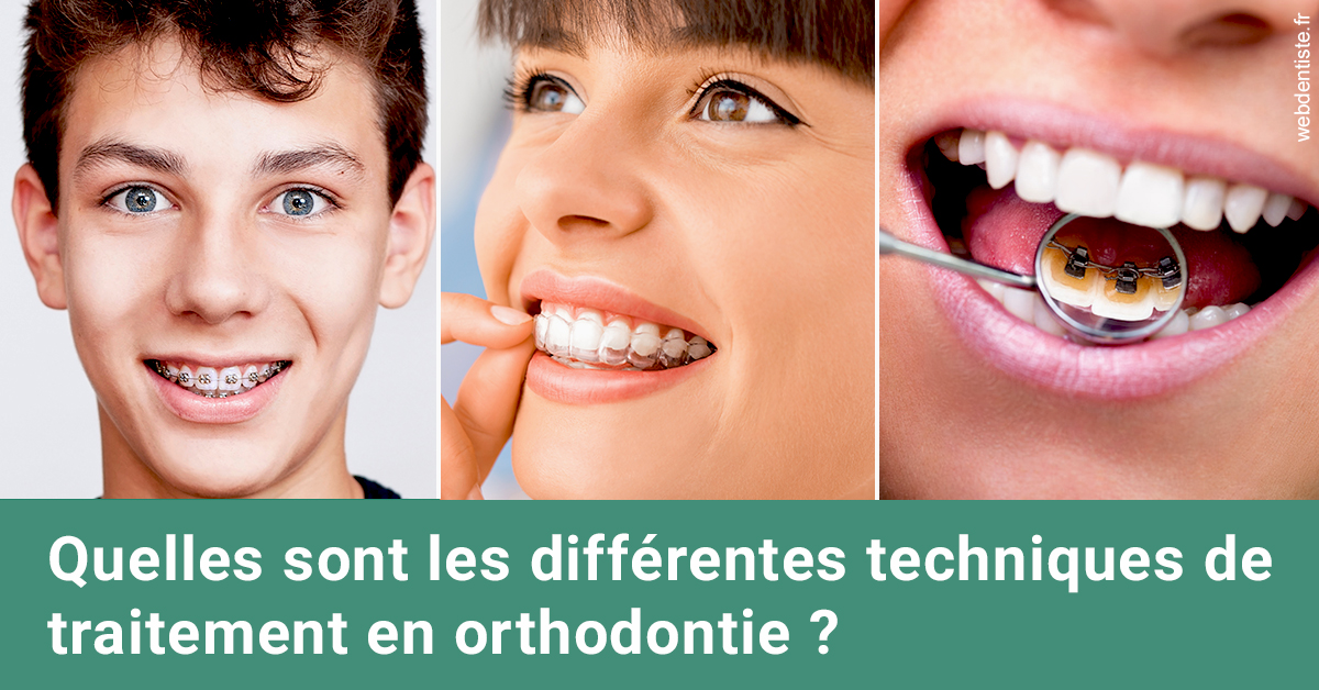 https://selarl-cabinet-dentaire-la-passerelle.chirurgiens-dentistes.fr/Les différentes techniques de traitement 2
