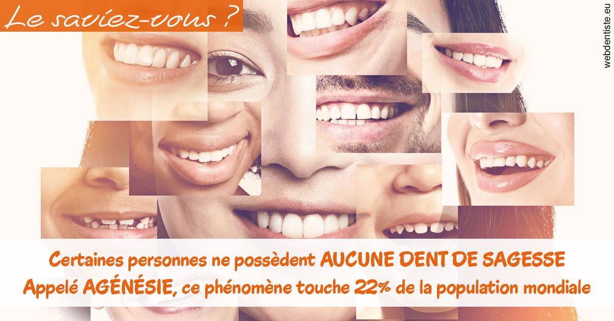 https://selarl-cabinet-dentaire-la-passerelle.chirurgiens-dentistes.fr/Agénésie 2