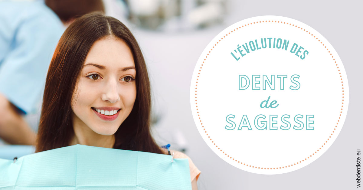 https://selarl-cabinet-dentaire-la-passerelle.chirurgiens-dentistes.fr/Evolution dents de sagesse 2