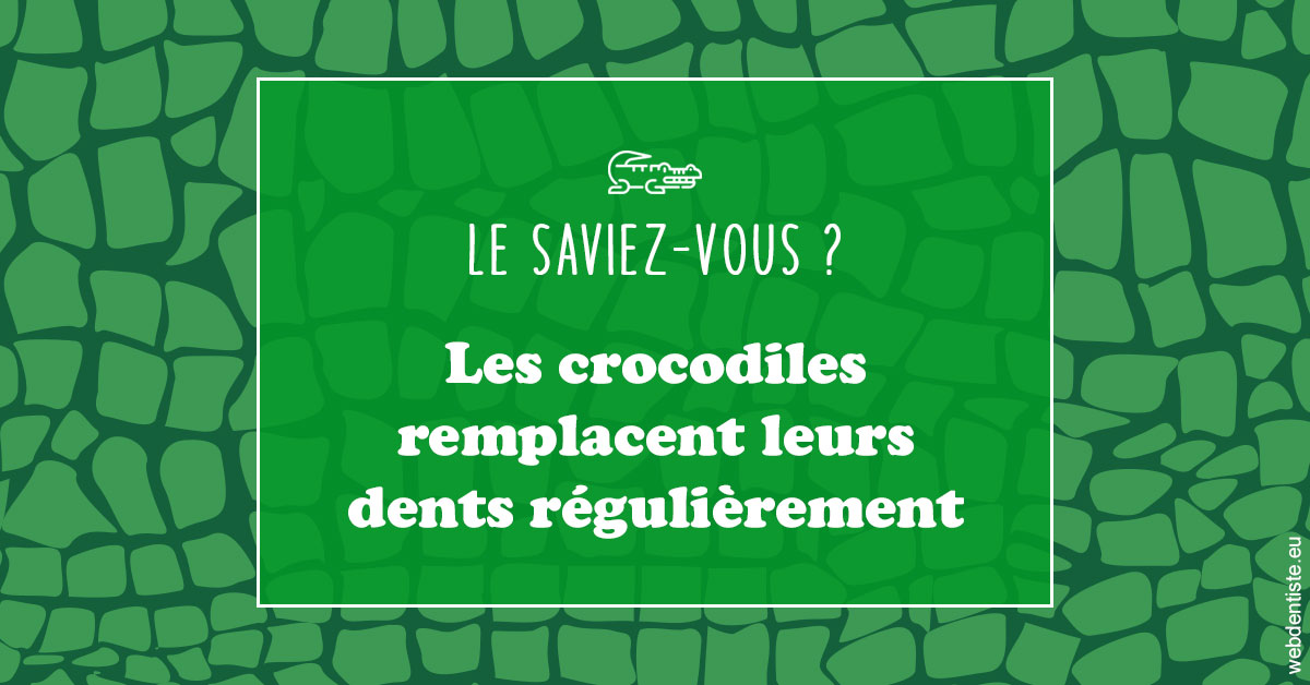 https://selarl-cabinet-dentaire-la-passerelle.chirurgiens-dentistes.fr/Crocodiles 1